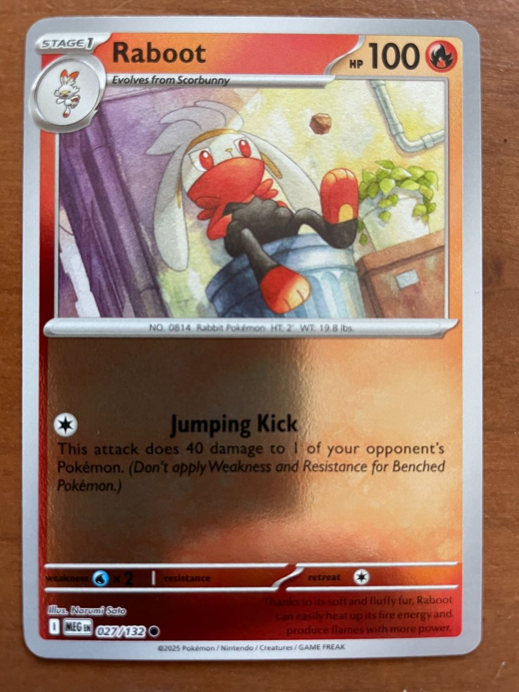 Pokémon Carte collezionabili: Pokemon Raboot Candy Reverse (Versand gratis) – Nuovo (secondo la descrizione) da Chur venduto da Angerson