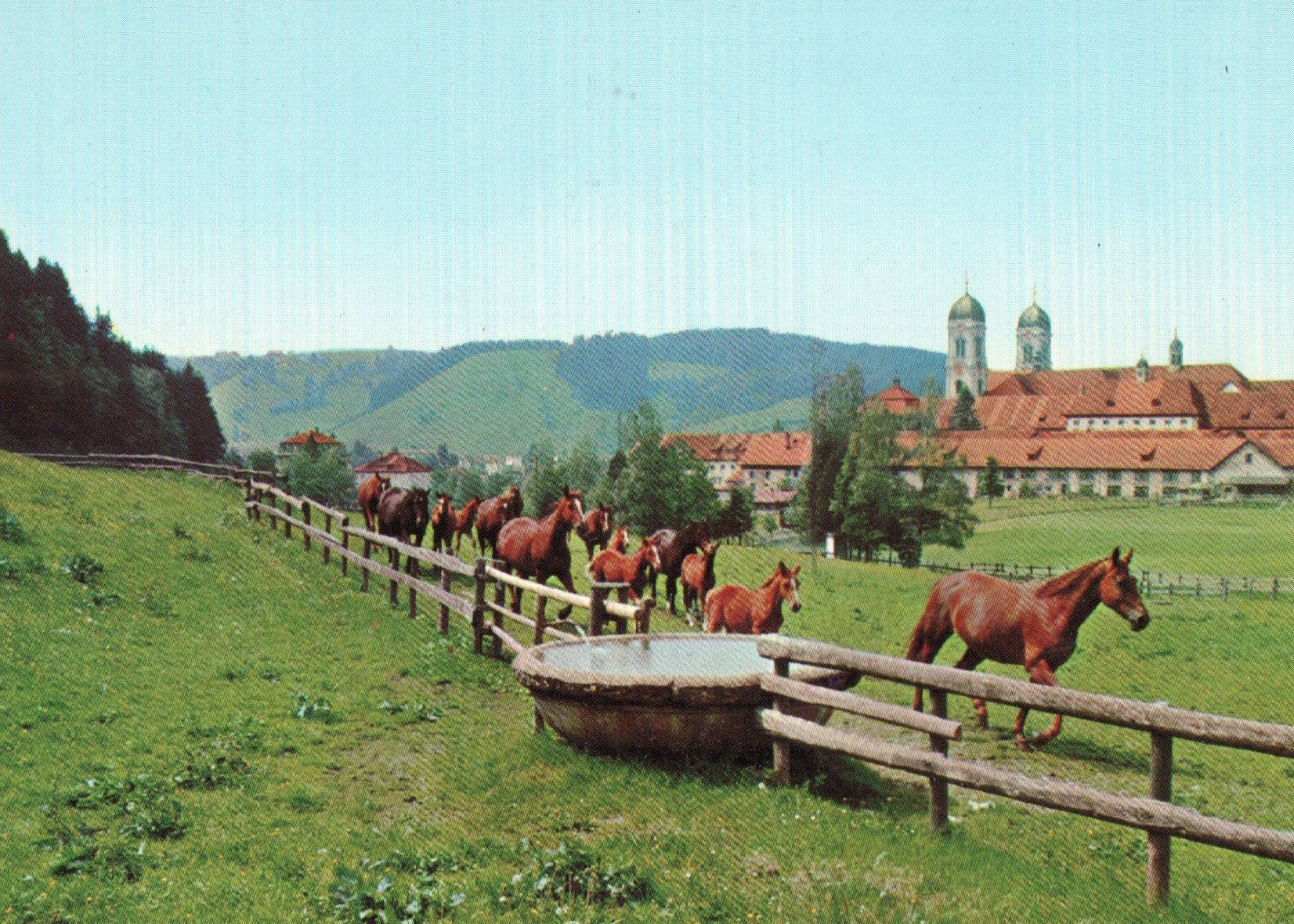 Cartoline postali: Einsiedeln - Fohlenweide – Nuovo (secondo la descrizione) da Melano venduto da pisonsdro