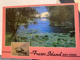 Carte Postale Australie - Fraser Island - Govi Creek