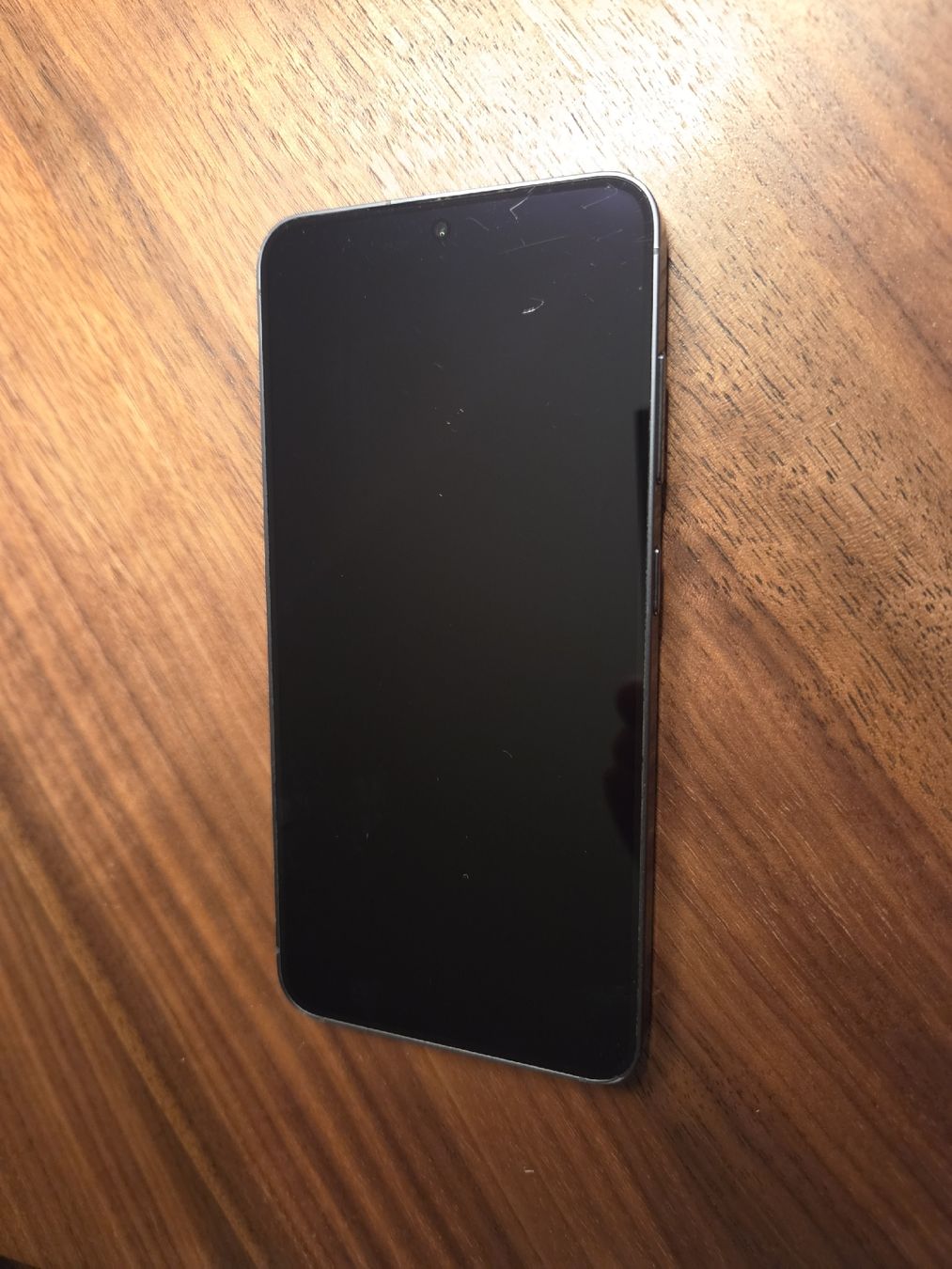 Samsung Telefoni cellulari / Smartphones: Samsung S25 mit 256 GB  – Usato da Zürich venduto da report73 2