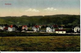 Nebikon 1917