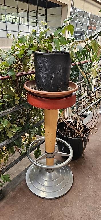 Hocker: Vintage Barhocker – Gebraucht aus Wabern von VOLVGNG73 1