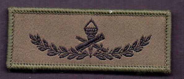 Placchette & Badge: Berufsmilitär Klett – Usato da Koblenz venduto da Himmelsreiter