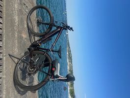Bicicletta elettrica Specialized Turbo Levo 2022 M Usato