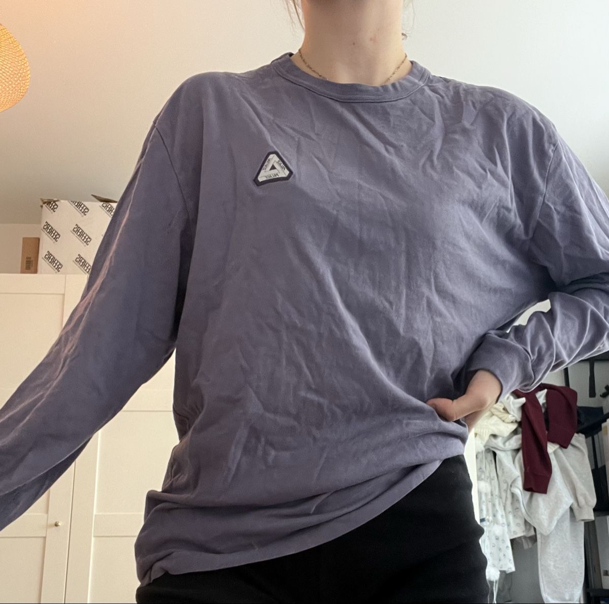 Palace Maglioni & Felpe: Palace Longsleeve – Nuovo (secondo la descrizione) da Bern venduto da lea_wf9x 4
