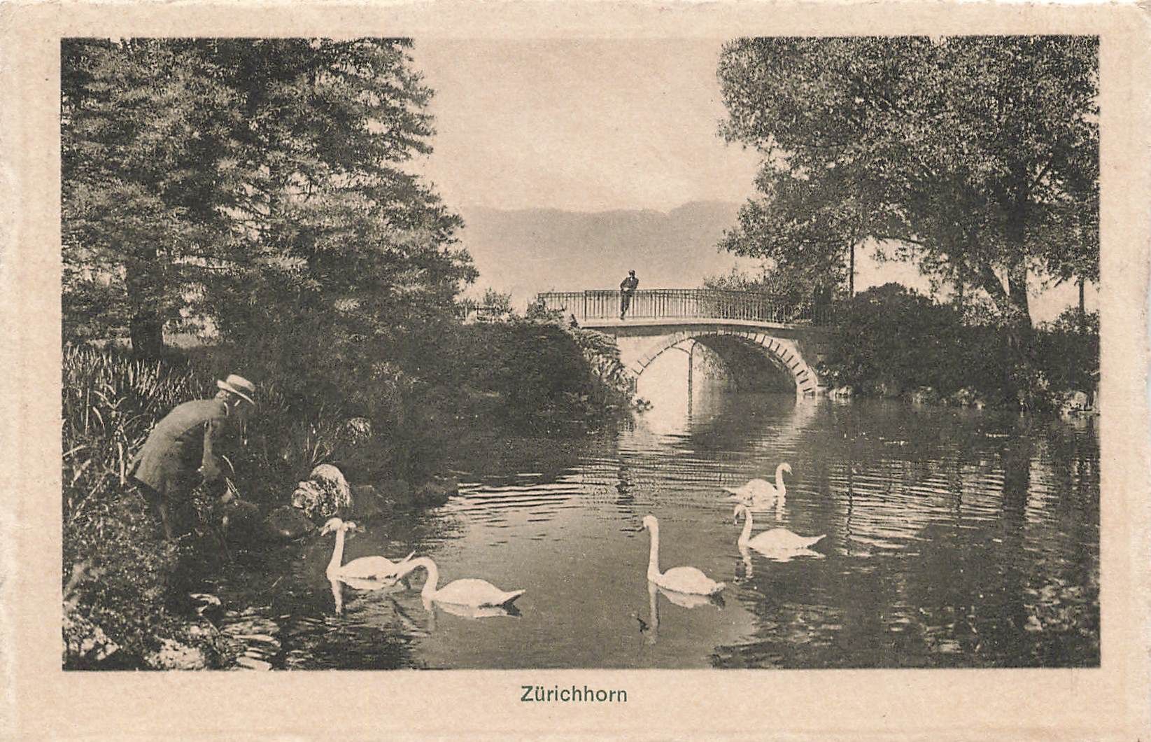 Cartoline postali: Zurich hörn – Usato da Biasca venduto da Blenio71