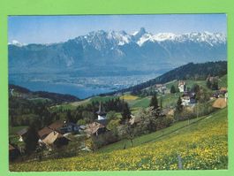 Goldiwil ob Thun