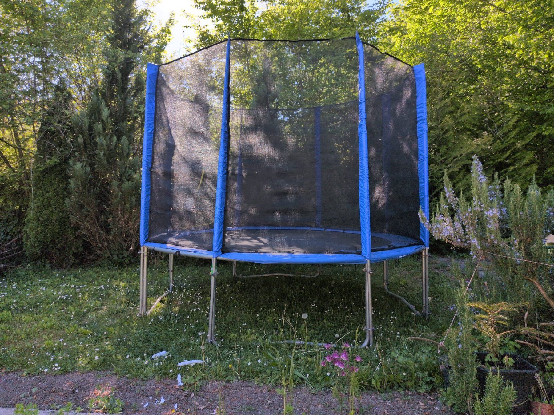 Trampolini: Trampolin – Usato da Adliswil venduto da lul_5h6f