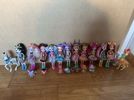 Echantimals Puppen Kollektion, 12 Stück, Komplettset