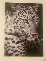 Leopard Leinwandbild