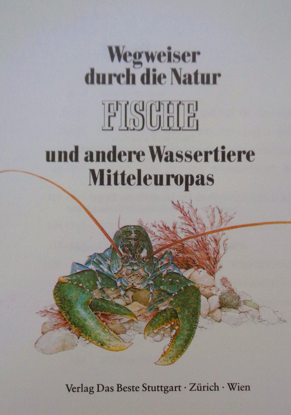 Libri: Fische + andere Wassertiere  Mitteleuropas / Buch 1986 – Usato da Bellach venduto da JingleJerry 2