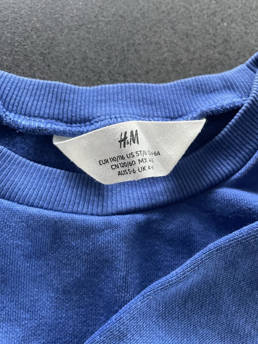 H&M Pullover & Sweatshirts: Dino Pullover / Sweatshirt Gr. 110/116 H&M – Gebraucht aus Aesch ZH von lawas 1