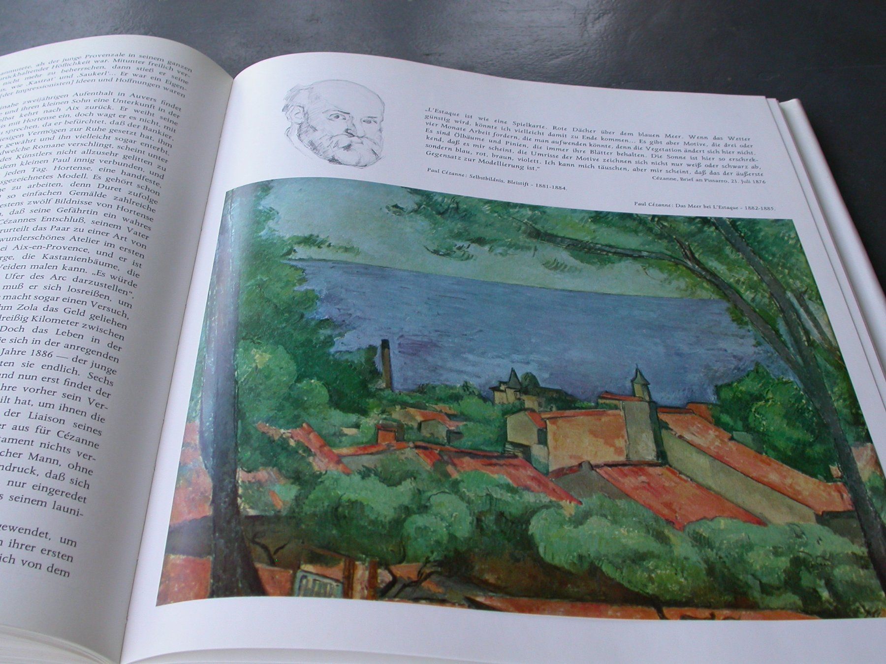 Libri: Der Impressionismus in Wort und Bild – Usato da Zürich venduto da Marcel6887 8