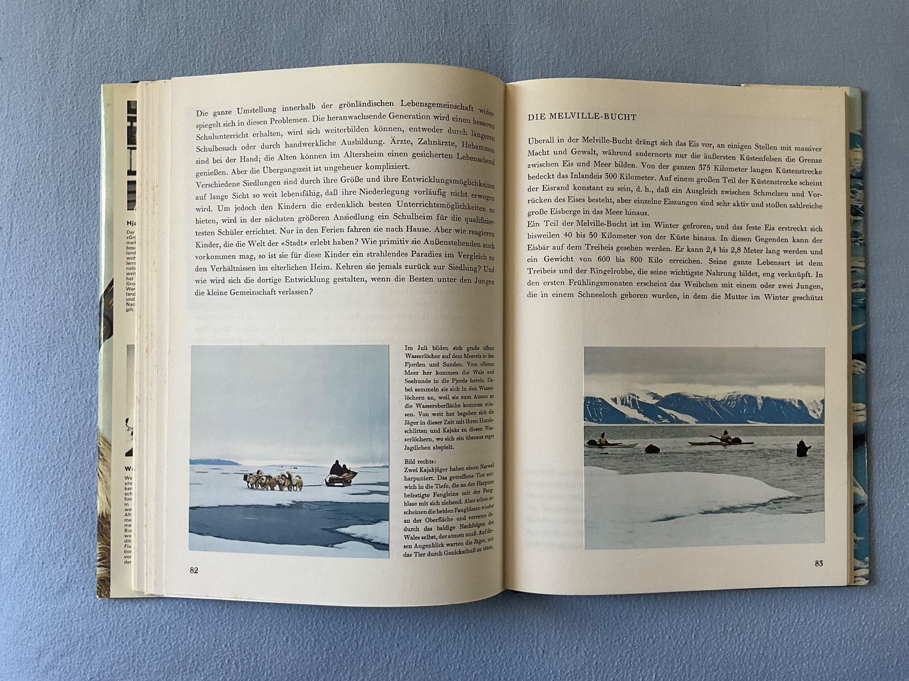 Libri: Silva Buch; Grönland – Usato da Zürich venduto da Tolima194 6