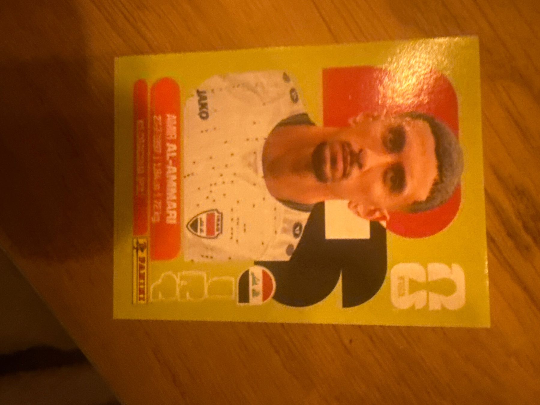 Panini Sammelbilder & Trading cards: Panini – Gebraucht aus Langnau i. E. von Acrjl