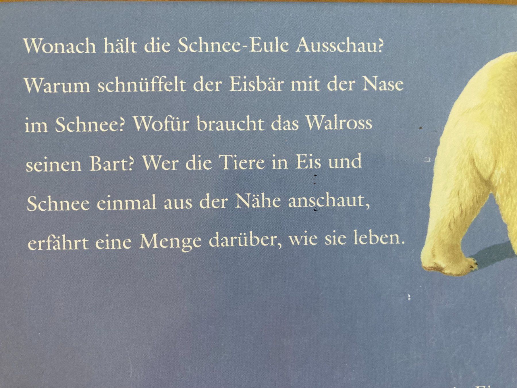 Libri: TIERE  IN  EIS  UND  SCHNEE      PATMOS Verlag – Usato da Subingen venduto da Etageren 2