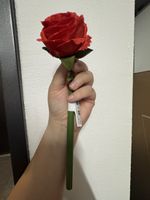 Rosen Kugelschreiber 🌹 | NEU! ✨