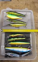 9 Wobbler im Set 1