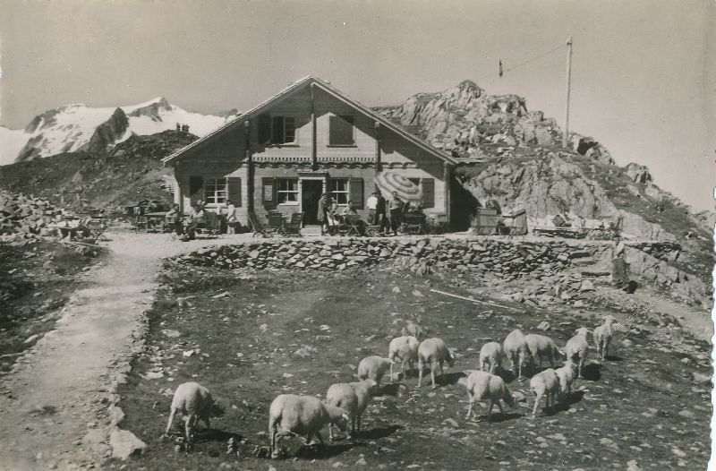 Cartoline postali: Susten Passhöhe Rest. c1955 – Usato da Emmenbrücke venduto da teestube