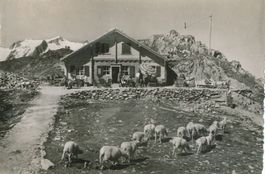Susten Passhöhe Rest. c1955