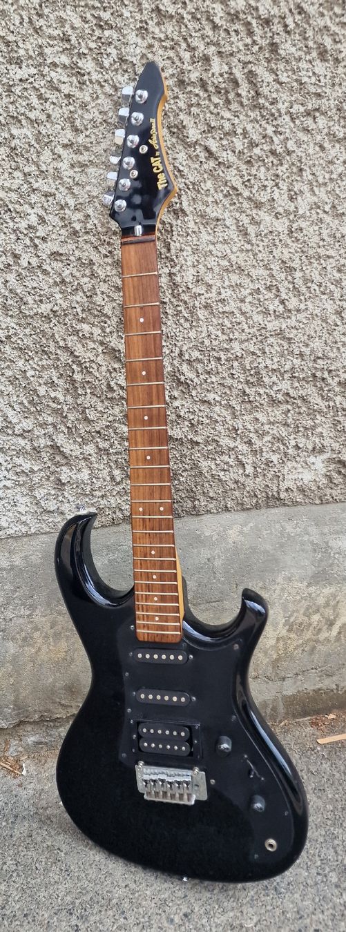 Aria Musikinstrumente: Guitare électrique Aria pro II the cat – Gebraucht aus Lausanne von ama_2fz8 6