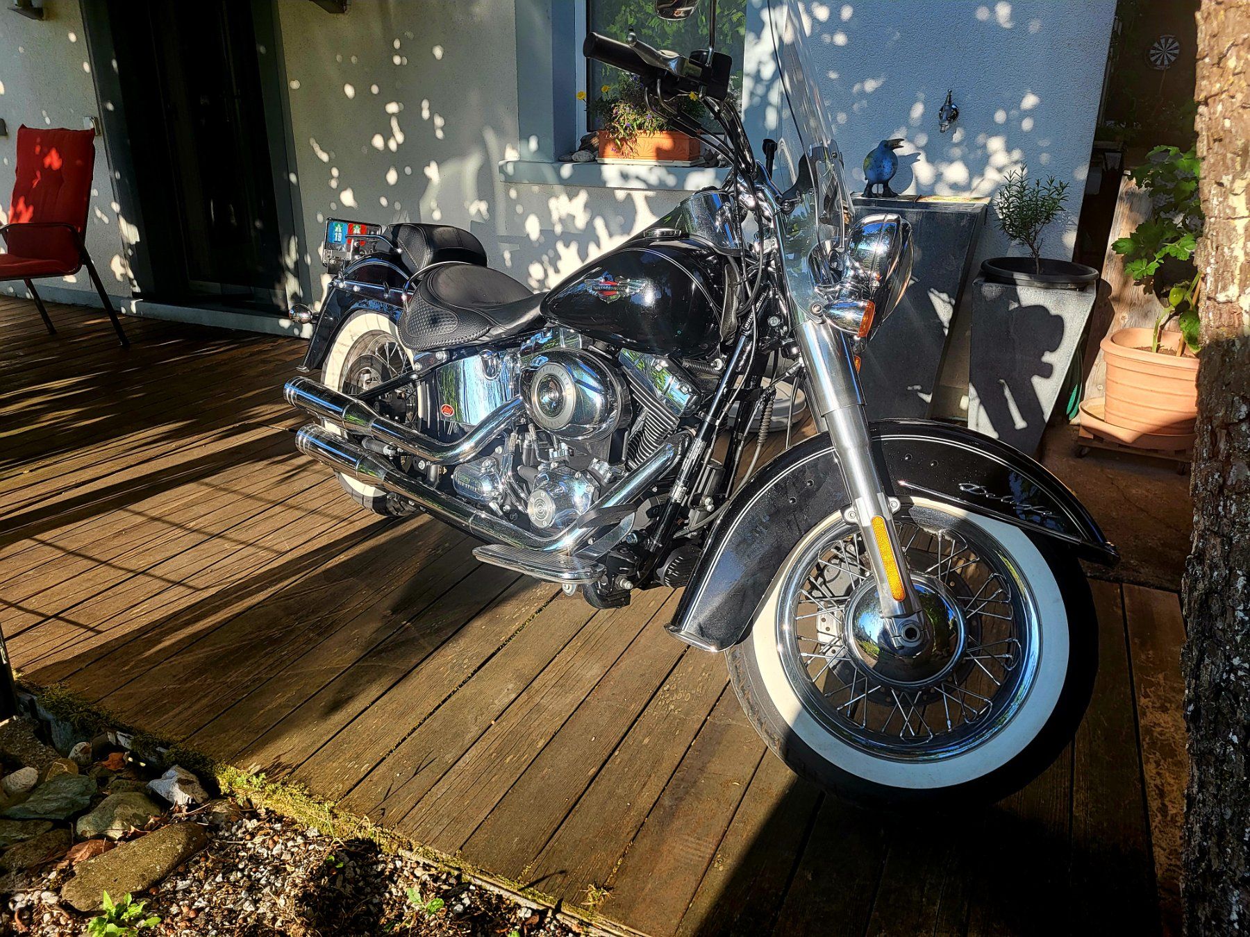 Harley-Davidson Chopper: Harley Davidson Softail FLSTN – Usato da Liebistorf venduto da Howie881