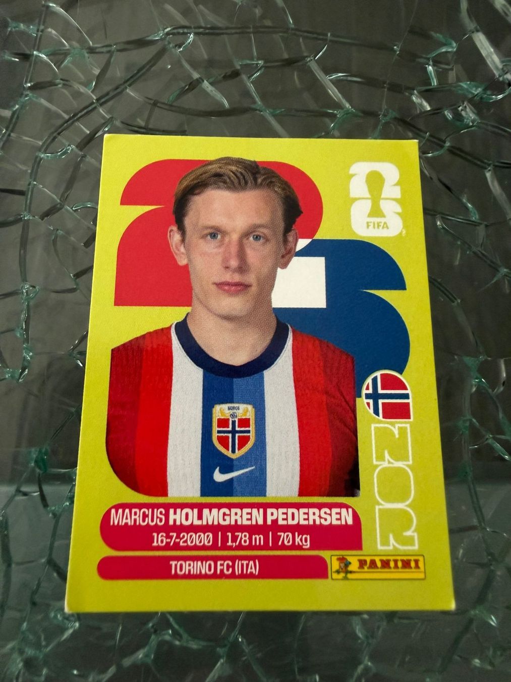 Panini Carte collezionabili: WM 2026 - Panini - Marcus Holmgren Pedersen - NOR 6 – Usato da Pfäffikon ZH venduto da Marcodesi76