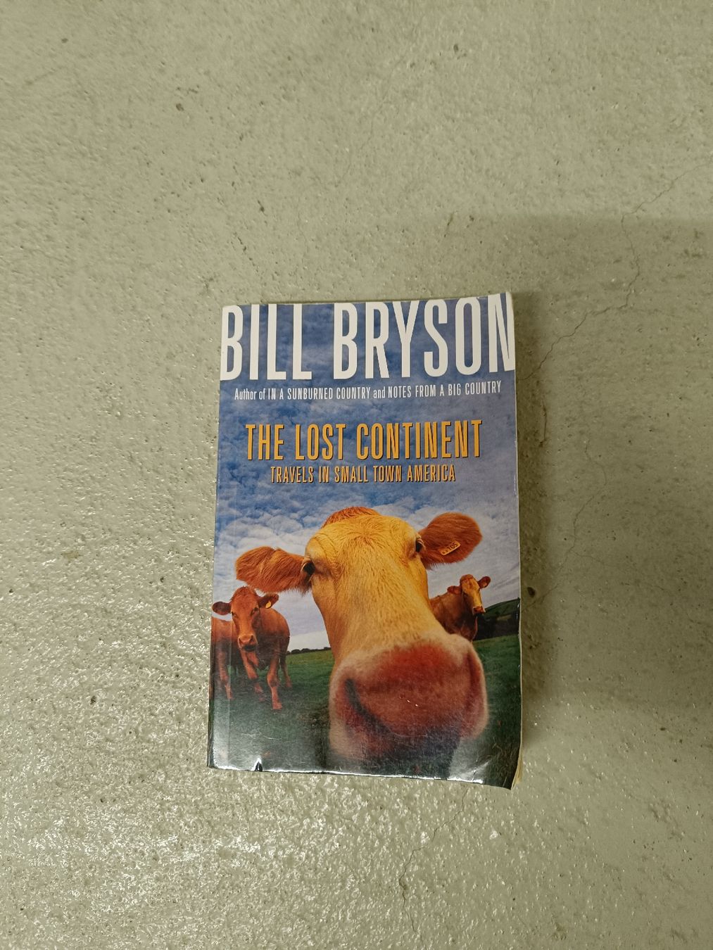Libri: Bill Bryson - The Lost Continent  – Usato da Liesberg Dorf venduto da Tisba_swiss
