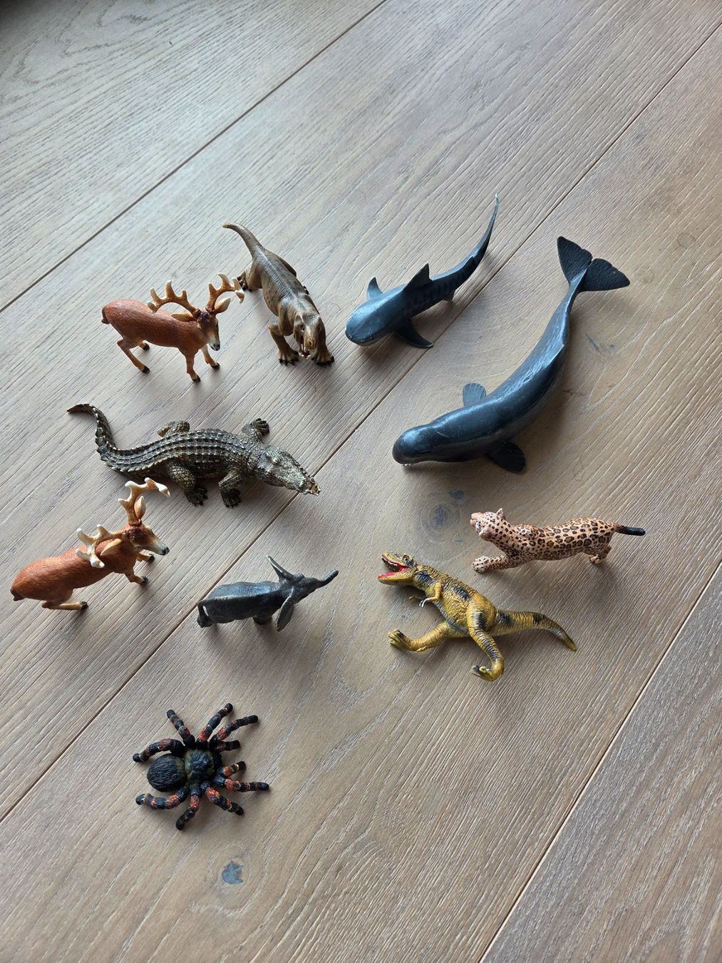Schleich Spielzeuge: Schleich Tierfiguren Sammlung – Gebraucht aus Rüschlikon von tiniweeeny 1