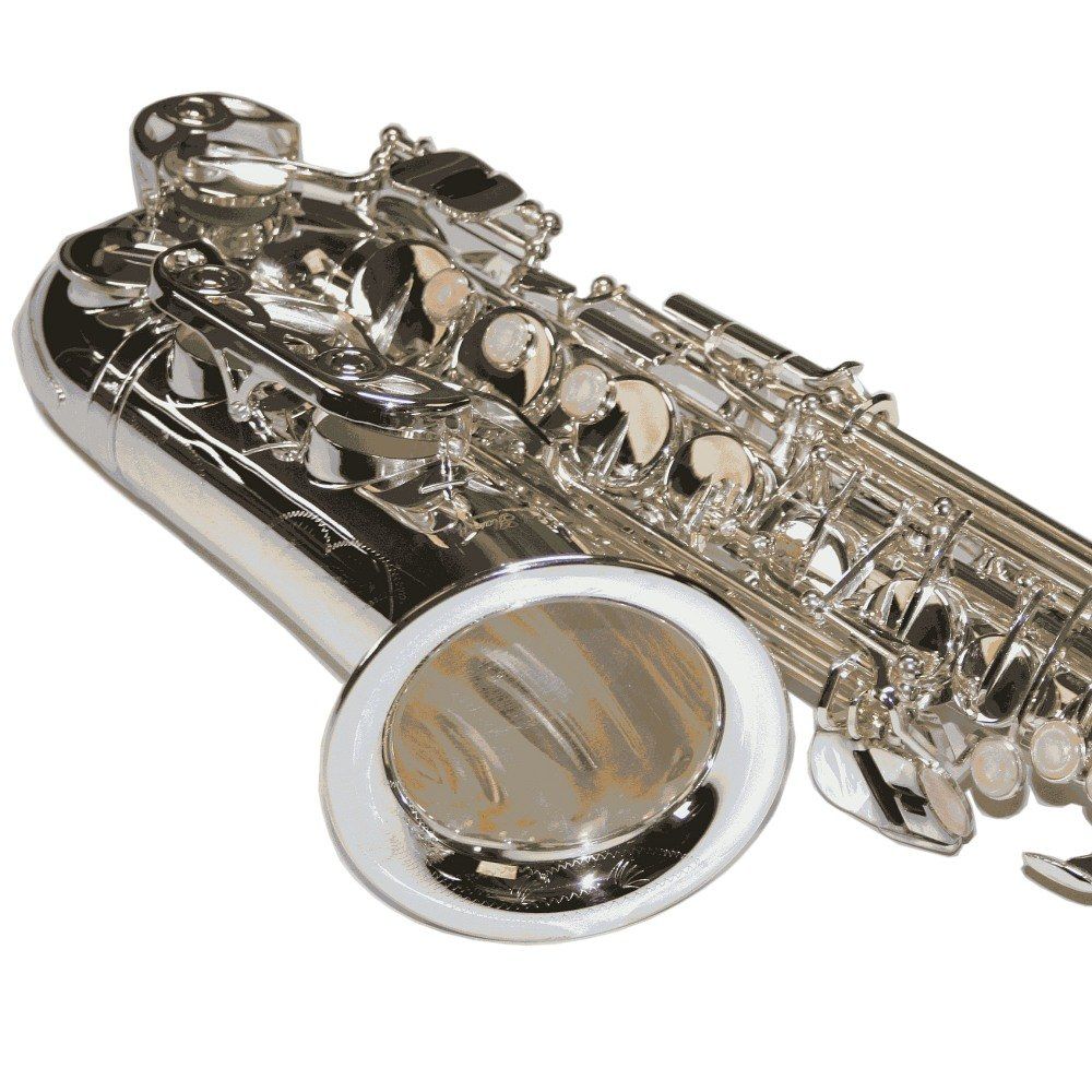 Karl Glaser Strumenti musicali: Karl Glaser Alt-Saxophon, versilbert mit Soft Bag – Nuovo e nell'imballaggio originale da Lostallo venduto da Guddah78 1