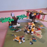 Lego Creator 31116 Safari Flugzeug Abenteuer
