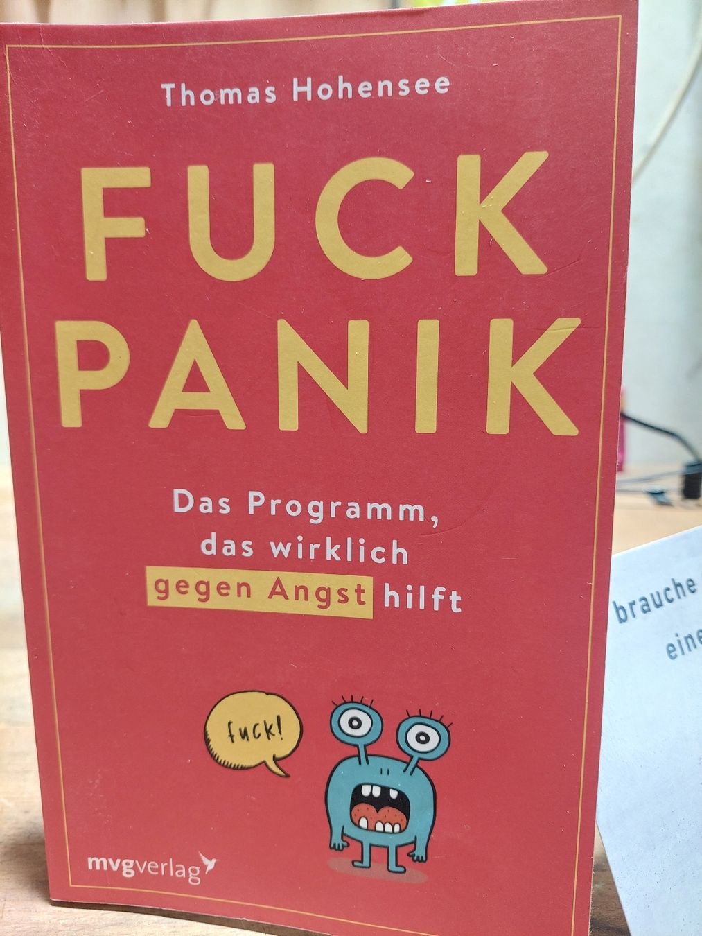 Libri: Buch: Fuck Panik – Nuovo (secondo la descrizione) da Flaach venduto da maniv6