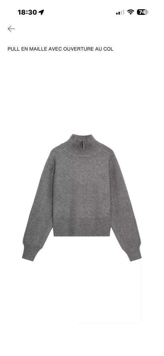Zara Pulls & Sweat-shirts: Pull Zara M – Neuf (Voir description) à Chêne-Bougeries par adzg