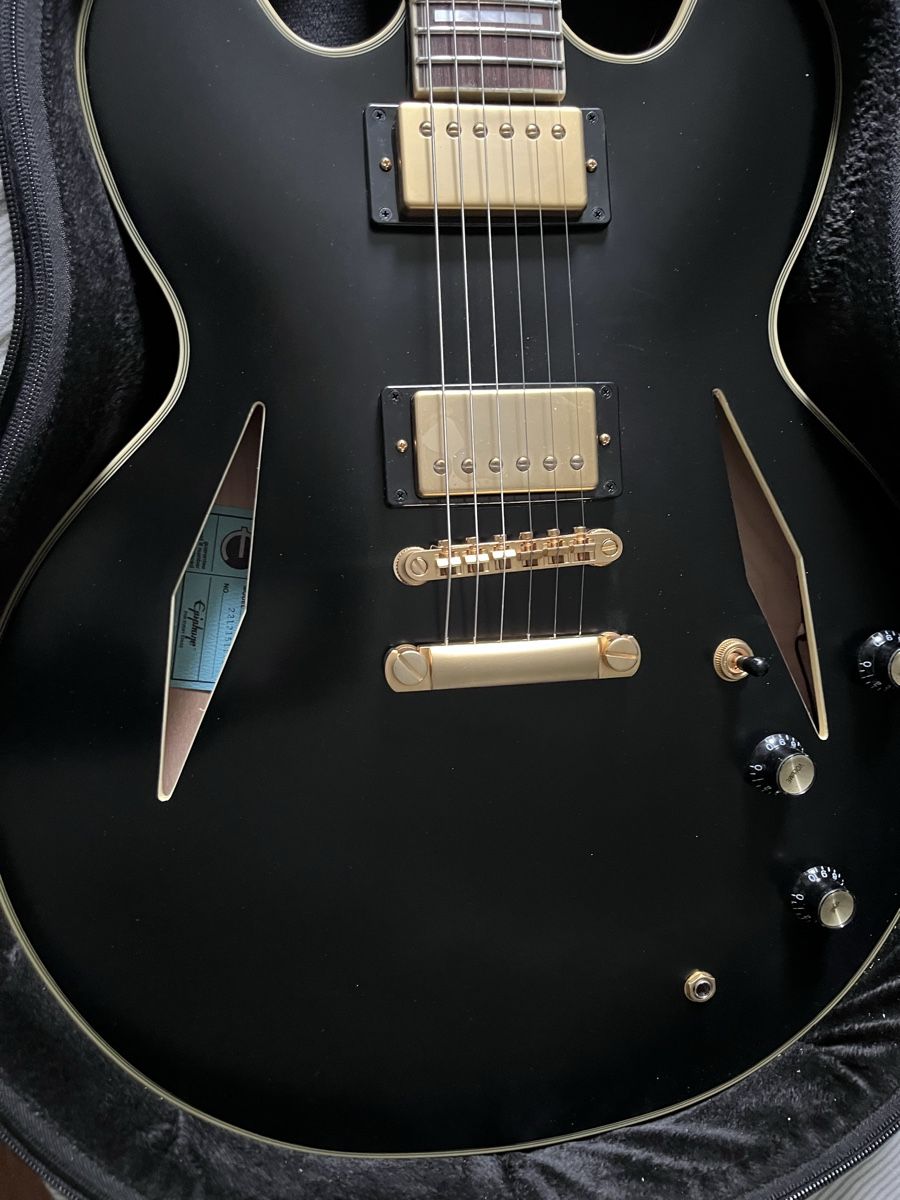 Epiphone Strumenti musicali: Epiphone Emily Wolfe Stealth Black – Usato da Zürich venduto da ckay78 3