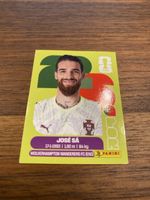 Panini Pir 3
