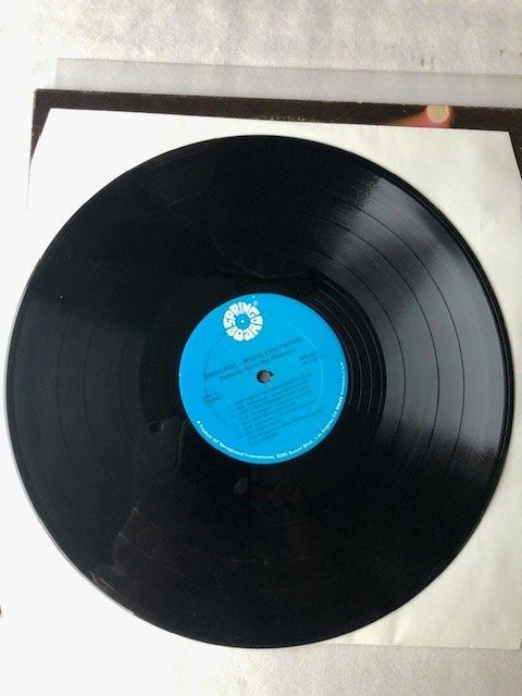 Dischi in vinile: Led Zeppelin – Usato da Aarwangen venduto da Jukebox3 4