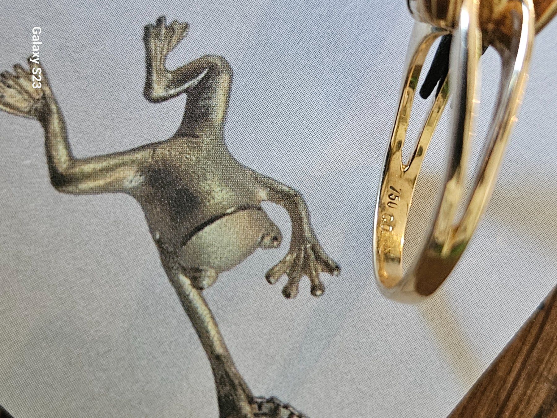 Bagues: Damenring Gelbgold 750 – Neuf (Voir description) à Greifensee par gre_7lzy 4