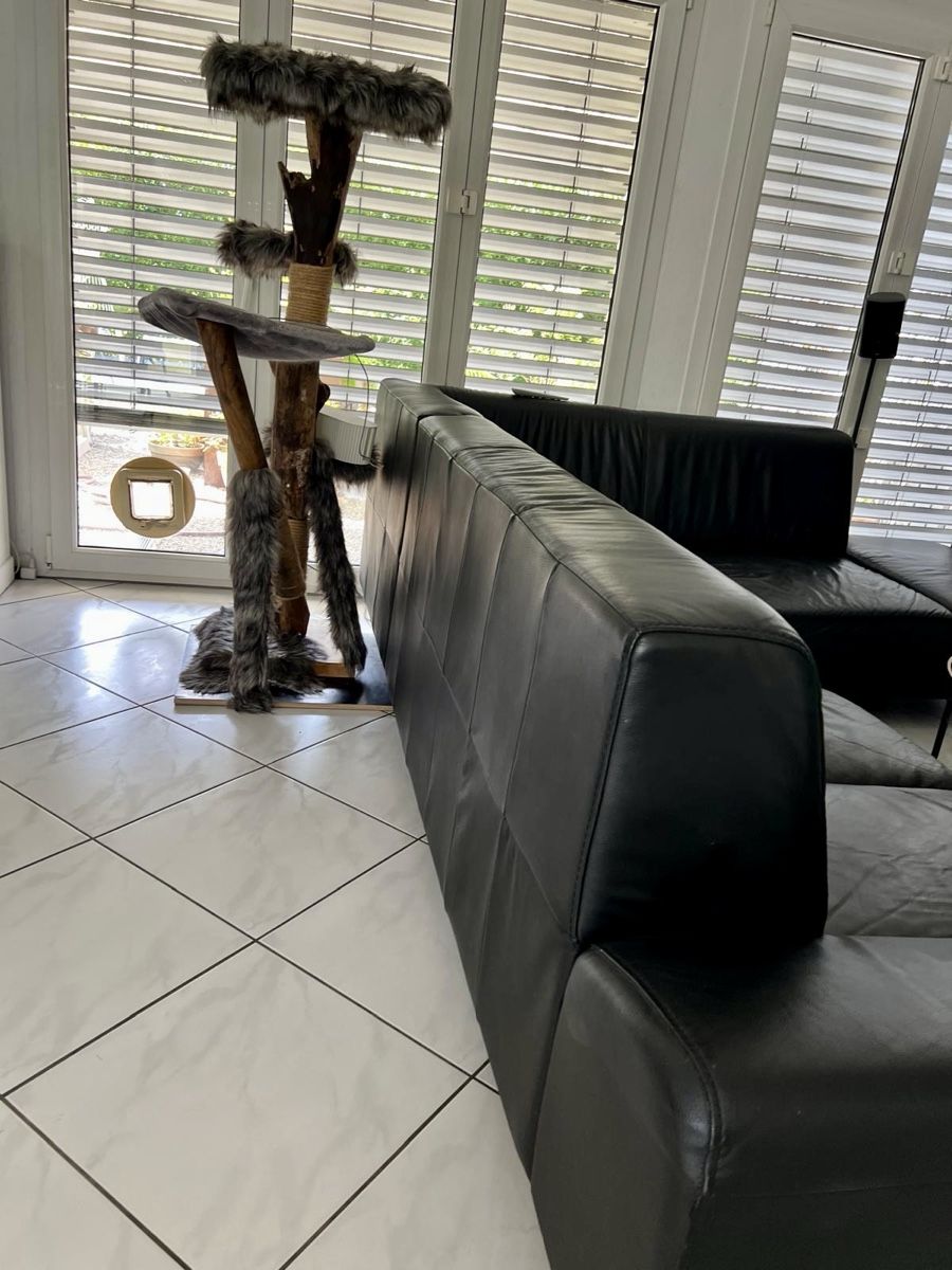 Divani: Ledersofa, schwarz – Usato da Eschenbach LU venduto da cherryplum 2