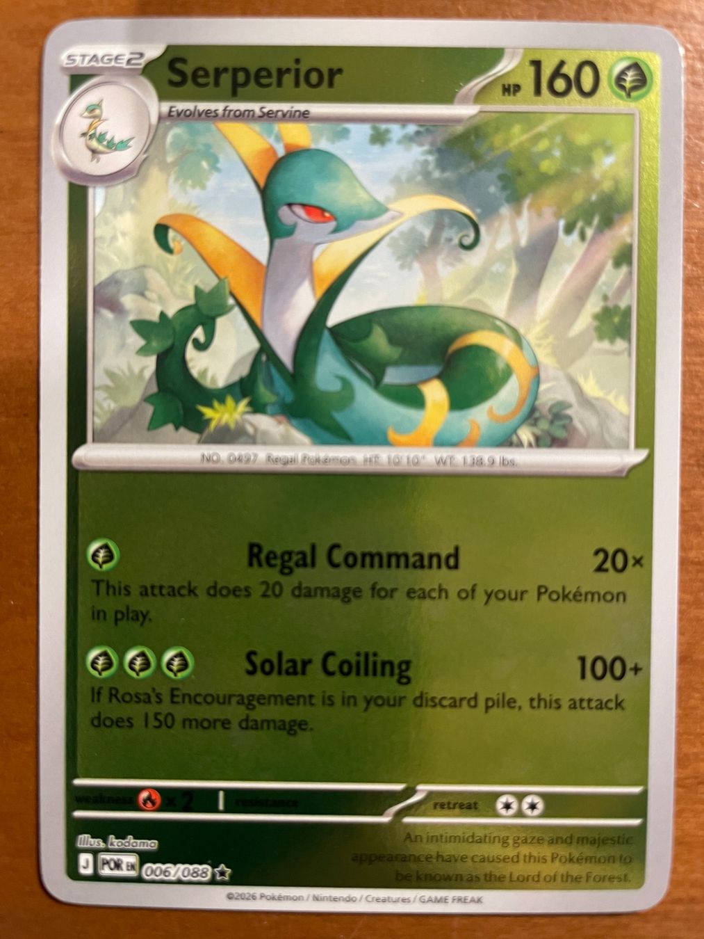 Pokémon Carte collezionabili: Pokemon Serperior Reverse (Versand gratis) – Nuovo (secondo la descrizione) da Chur venduto da Angerson