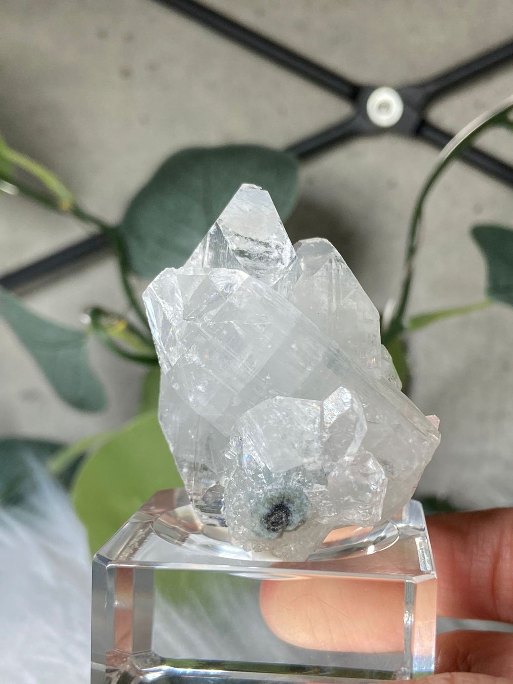 Mineralien & Heilsteine: Apophyllit – Gebraucht aus Neuheim von m.hald