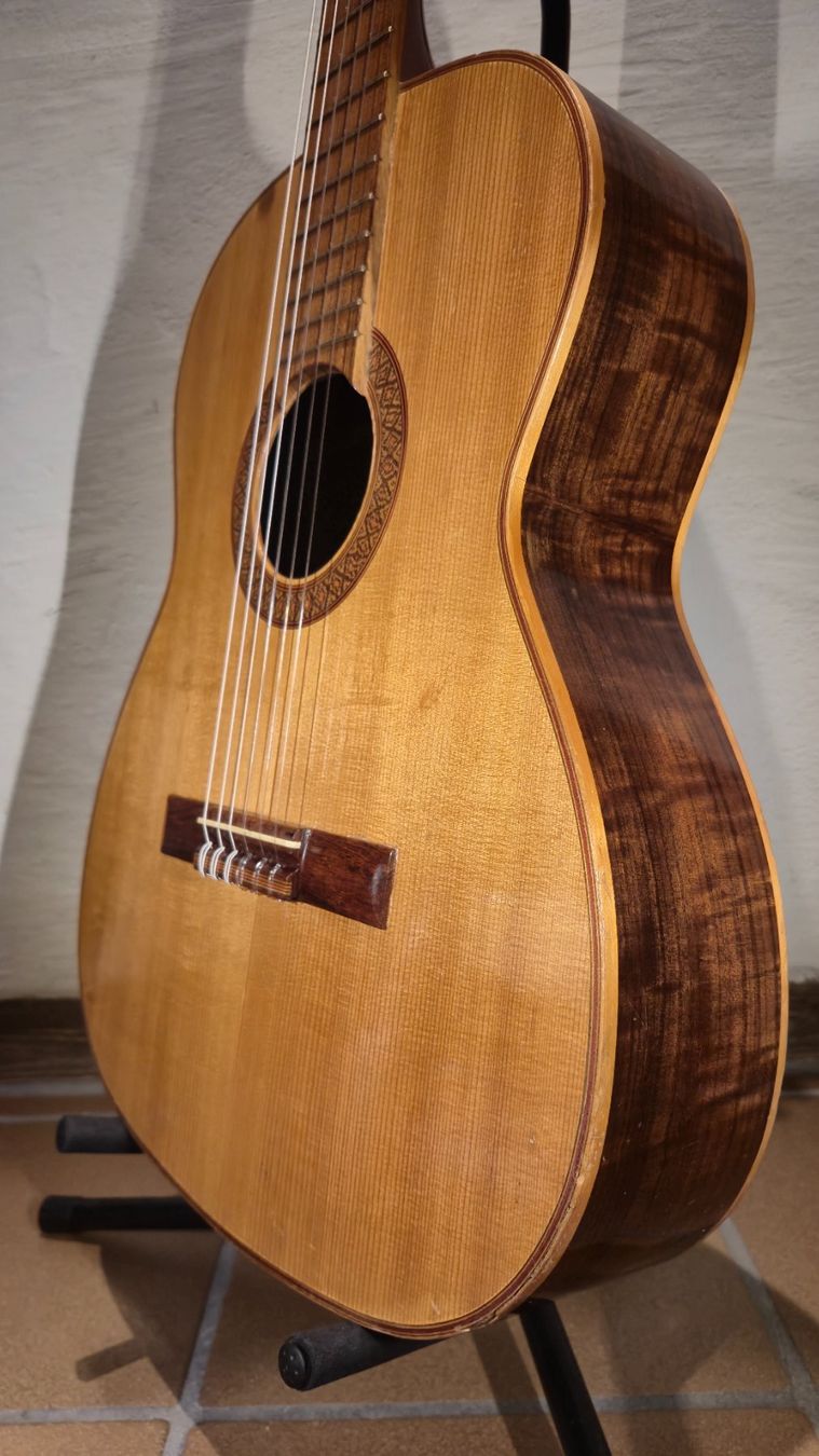 Giannini Strumenti musicali: Akustik Gitarre Giannini AWN 31 – Usato da Winterthur venduto da NorrSydGuitars 6