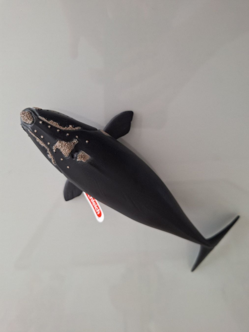 Schleich Figuren: Schleich  Südkaper Wal unbespielt Neu – Neu und originalverpackt aus Sissach von luvama 1