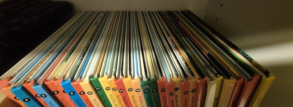 Fumetti: Collection complète BD Tintin Hergé – Usato da Bercher venduto da Dusudouest 1