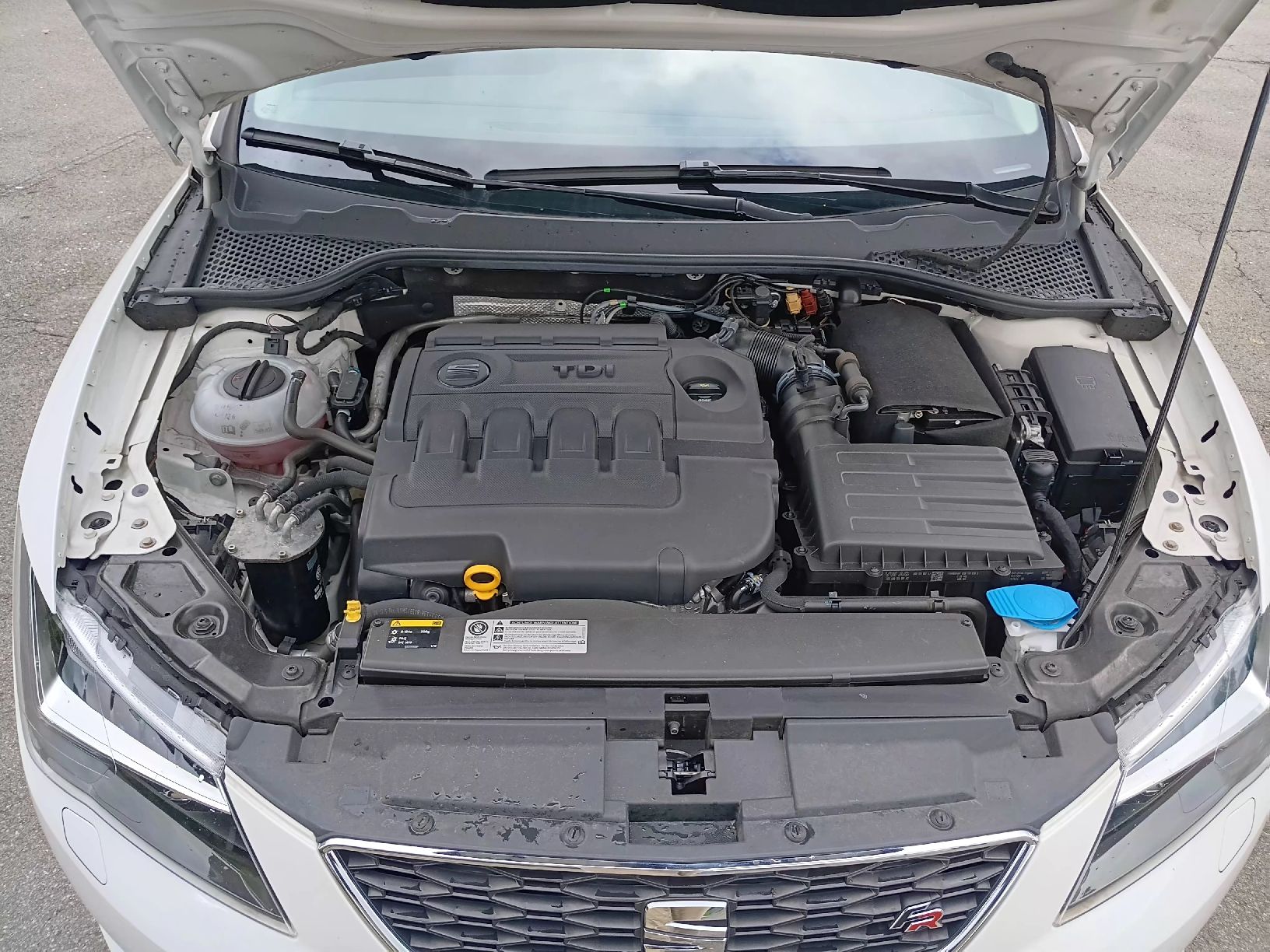 Seat Autos: Seat Leon  – Gebraucht aus Ettiswil von Soroy 4