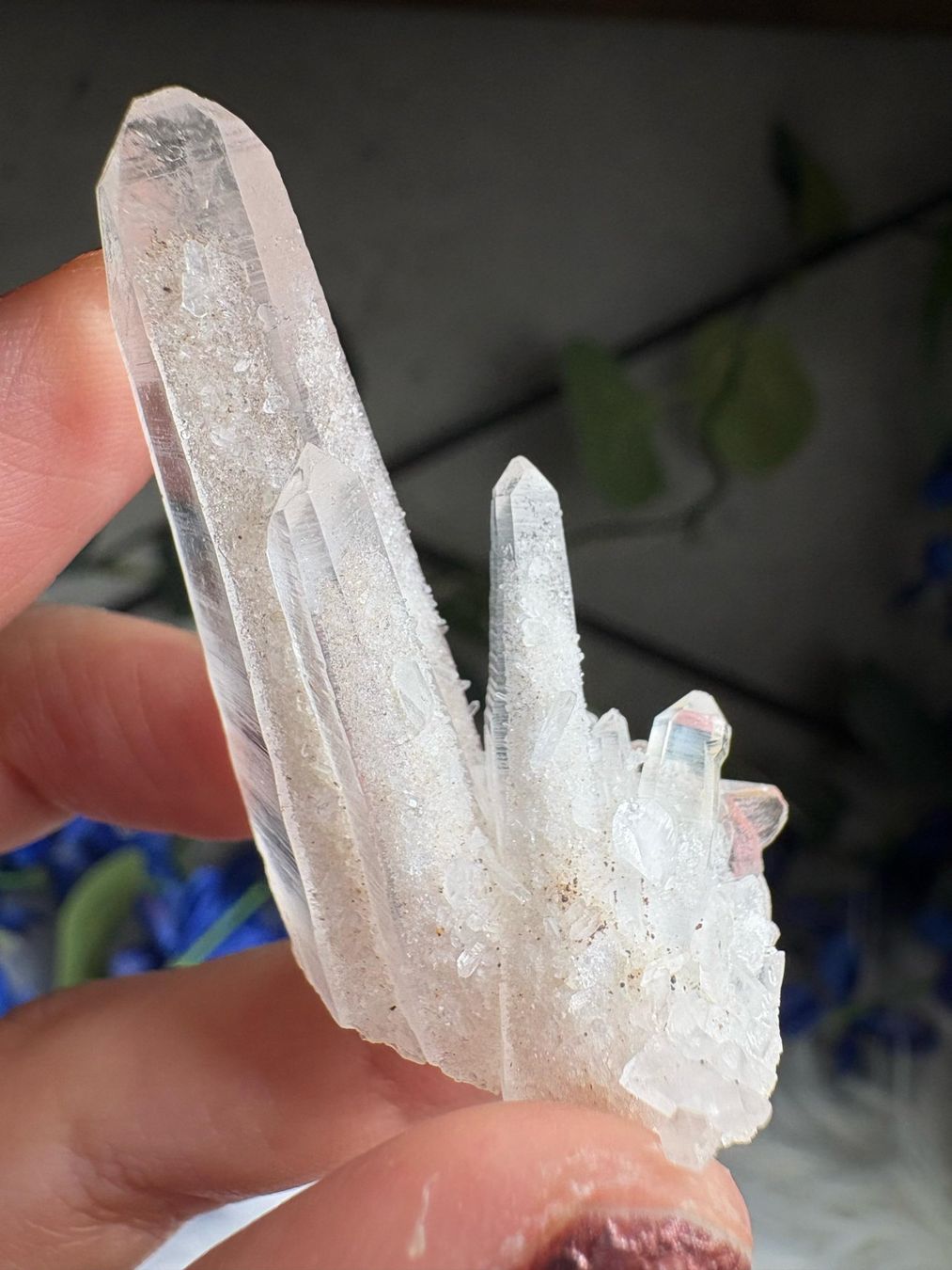 Minerali & Pietre curative: Kolumbianischer Lemurian-Quarz-Cluster – Nuovo (secondo la descrizione) da Neuheim venduto da m.hald 1