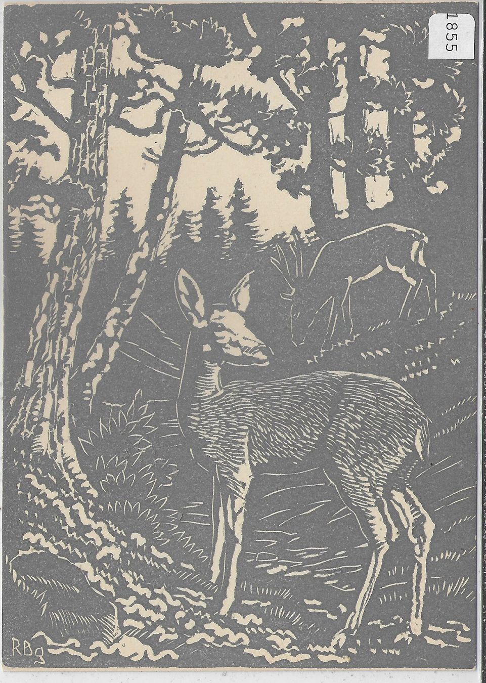 Cartoline postali: Alte originale Linolschnitt-Postkarte "Rehe im Wald" – Usato da Ettingen venduto da Kartenplanet