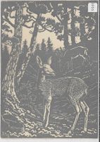 Alte originale Linolschnitt-Postkarte "Rehe im Wald"