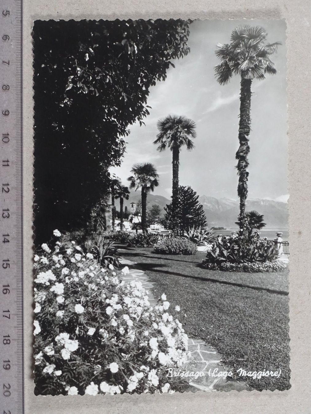 Ansichtskarten: Brissago, 1959 – Gebraucht aus Lenzburg von fh1