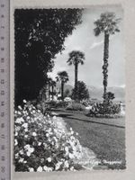Brissago, 1959