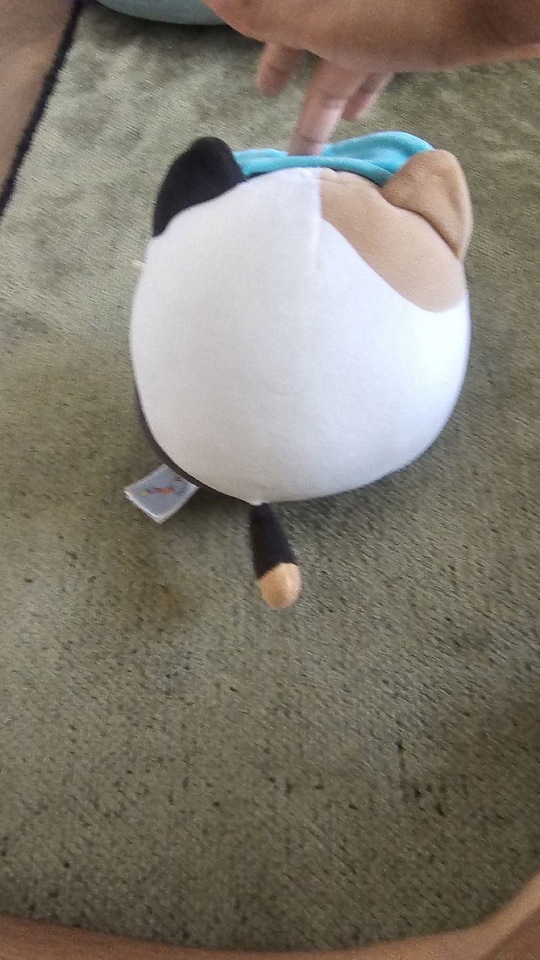 Squishmallows Jouets: squishmallow – D'occasion à Baar par fraj1 1